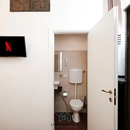 Daire Lion Renting Colosseum