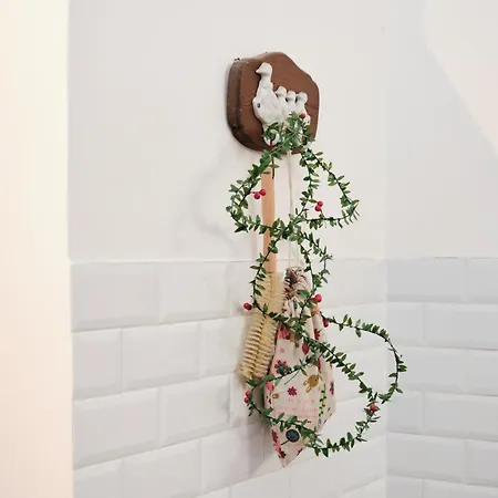 Daire Lion Renting Colosseum