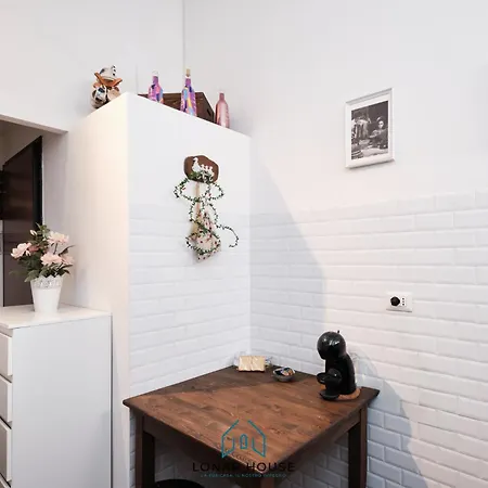 Daire Lion Renting Colosseum