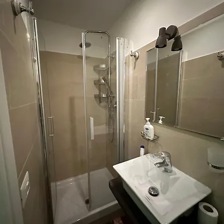 Lion Renting Colosseum Daire