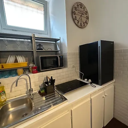 Lion Renting Colosseum Daire Roma