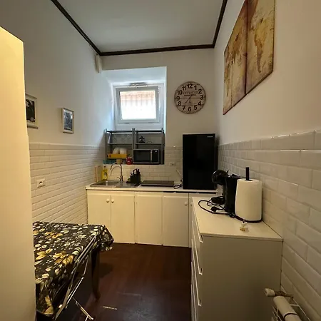 Lion Renting Colosseum