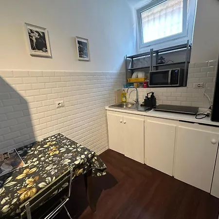 Lion Renting Colosseum Daire